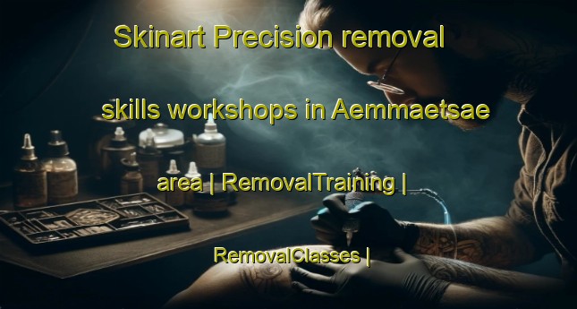 Skinart Precision removal skills workshops in Aemmaetsae area | RemovalTraining | RemovalClasses | SkinartTraining-Finland